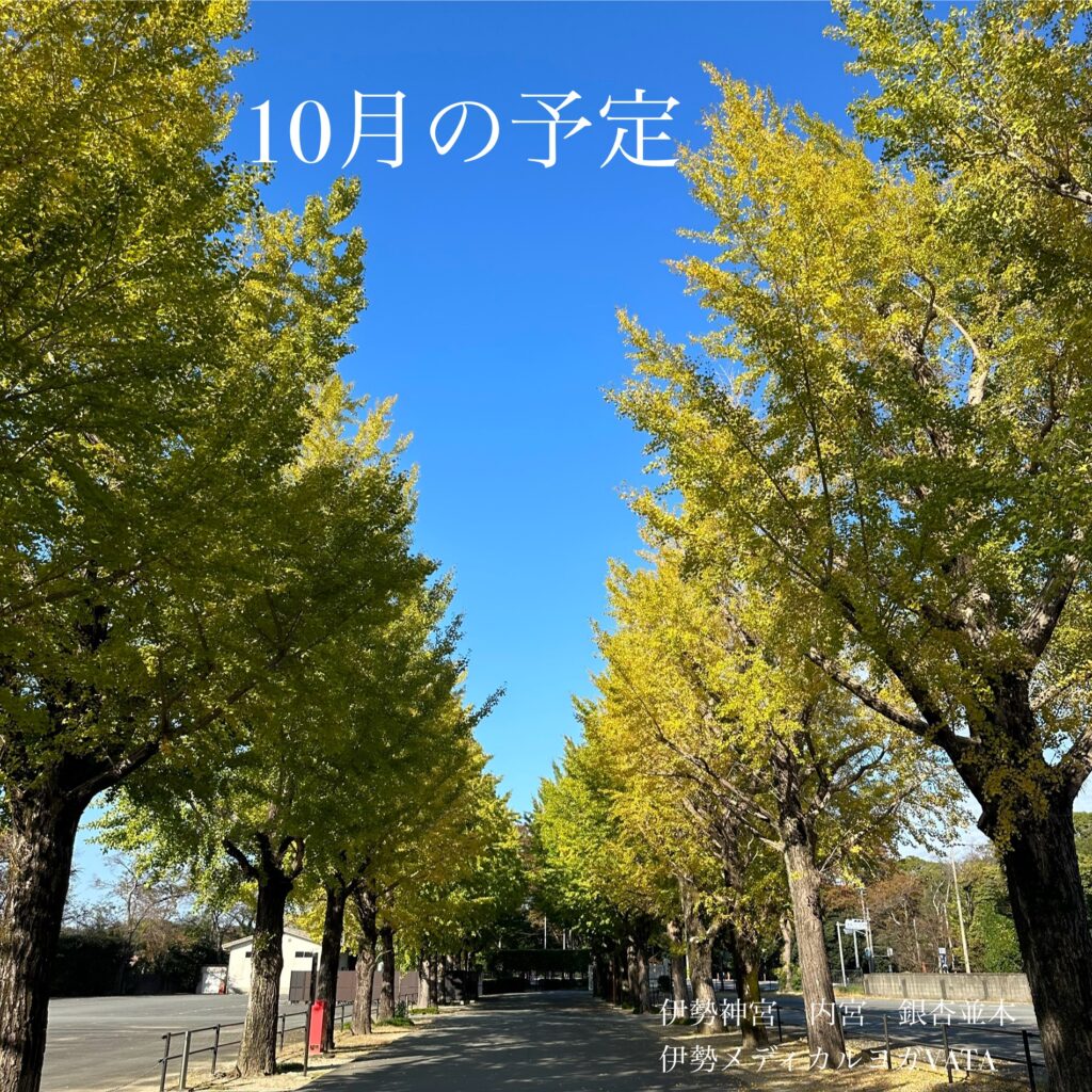 《　10月の予定　》