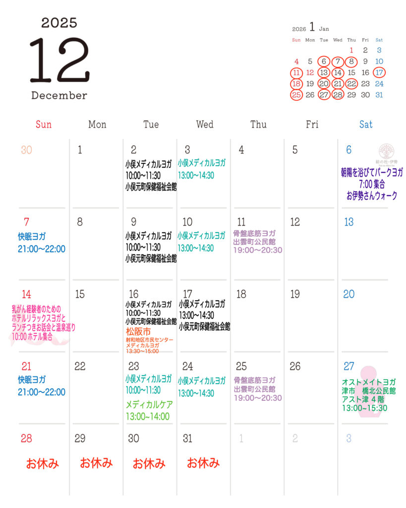 《　12月の予定　》